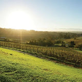 Early Sunrise 480 ml for ScentBard