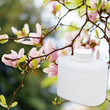 Magnolia Orange Blossom