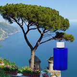 Mediterranean Breeze