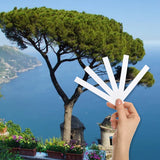 Mediterranean Breeze