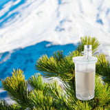 Mountain Lodge 270 ml for ScentVox