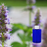 Pandemonium Patchouli 100 ml for ScentNote