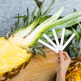 Pineapple Cilantro