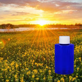 Pure Sunshine 480 ml for ScentBard