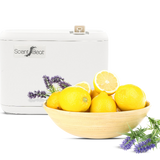 Lemon Lavender ScentBeat Starter Kit (white)