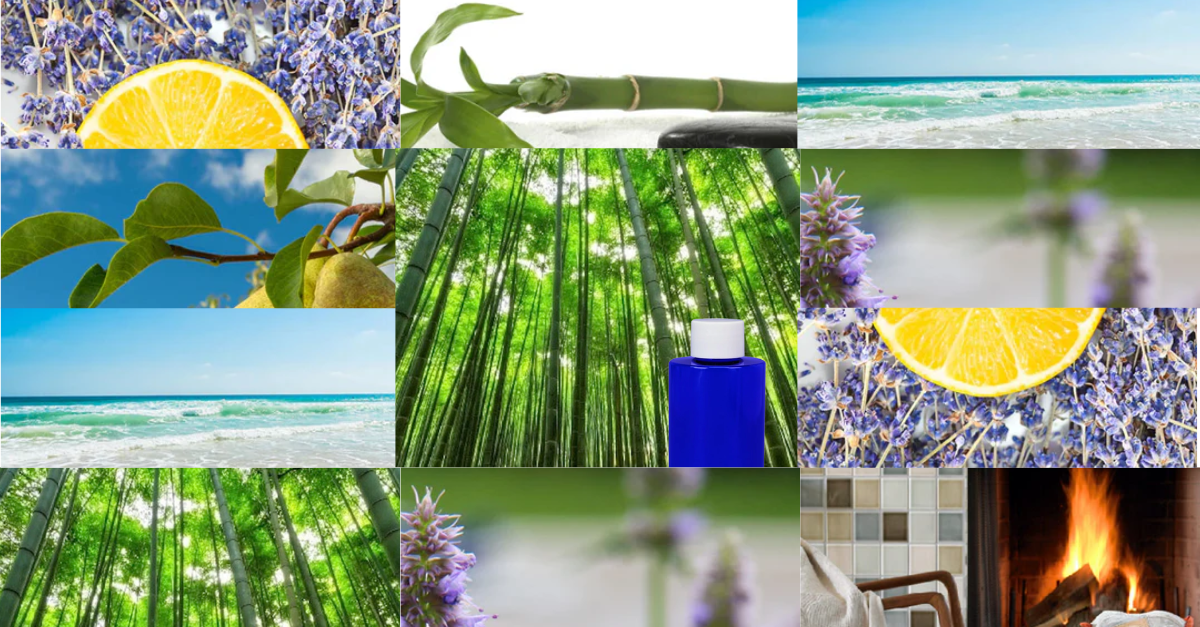 Best ScentBridge Scents: 7 Fragrances to Elevate Your Business