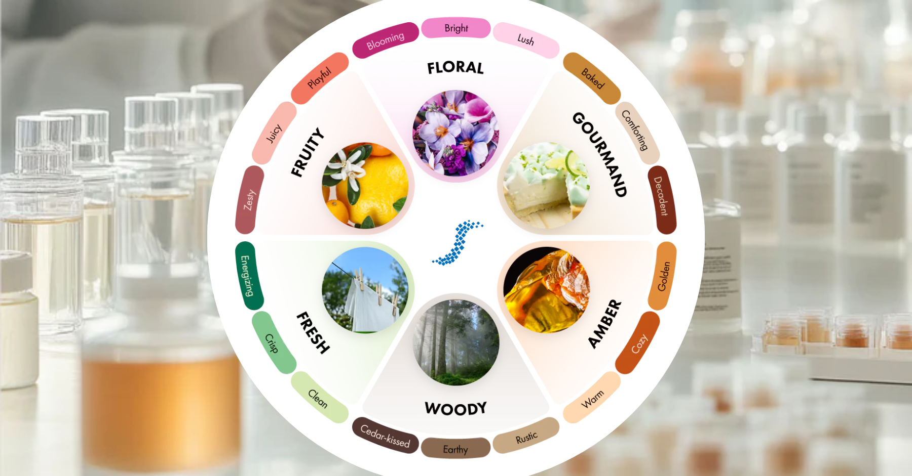 The ScentBridge Fragrance Wheel: A Guide to Scent Families