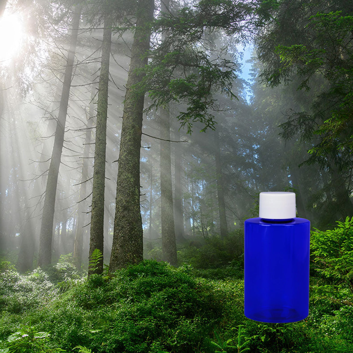 Alpine Forest
