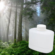 Alpine Forest