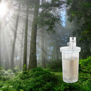 Alpine Forest