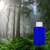 Alpine Forest