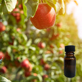 Apple Orchard 10 ml for ScentSolo