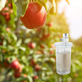 Apple Orchard