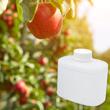 Apple Orchard