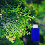 Balsam & Cedar