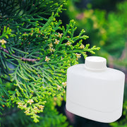 Balsam & Cedar