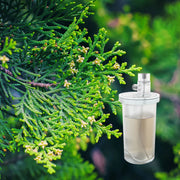 Balsam & Cedar
