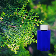 Balsam & Cedar