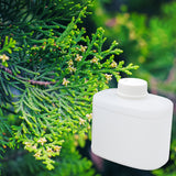 Balsam & Cedar
