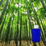 Bamboo Forest