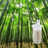 Bamboo Forest