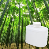 Bamboo Forest