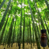 Bamboo Forest
