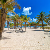 Caribbean Beach 270 ml for ScentVox