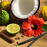 Cactus Blossom 480 ml for ScentBard