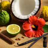 Cactus Blossom 10 ml for ScentSolo
