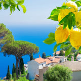 Capri Essence 10 ml for ScentSolo