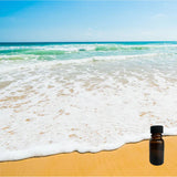 Catching Rays 10 ml for ScentSolo