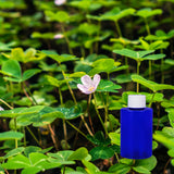 Clover Garden