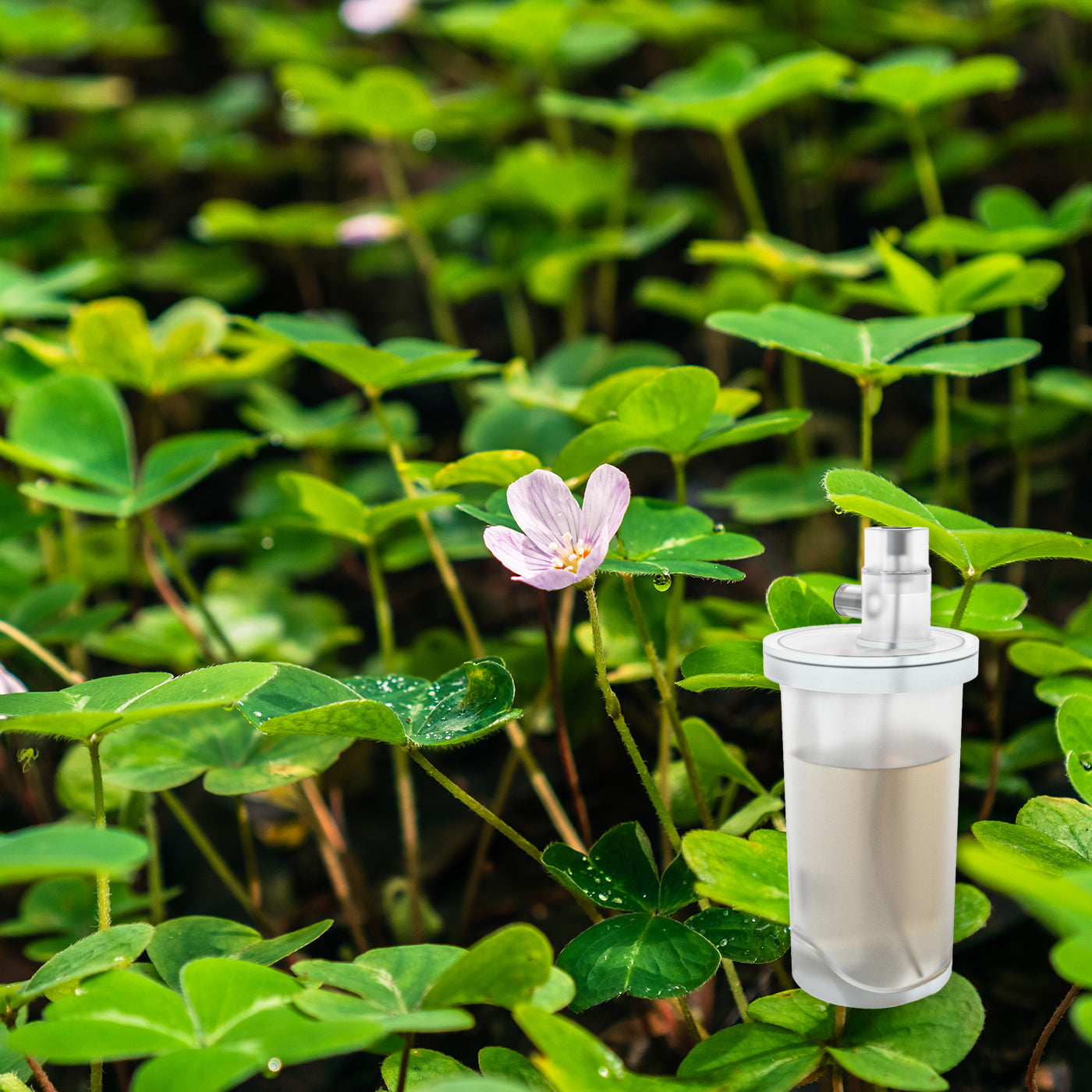 COGA_Clover_Garden-270_d4ed3c5d-ee90-413a-88da-fc59b8e0e3ee.jpg