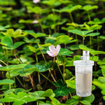 COGA_Clover_Garden-270_d4ed3c5d-ee90-413a-88da-fc59b8e0e3ee.jpg