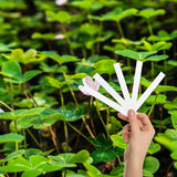 Clover Garden