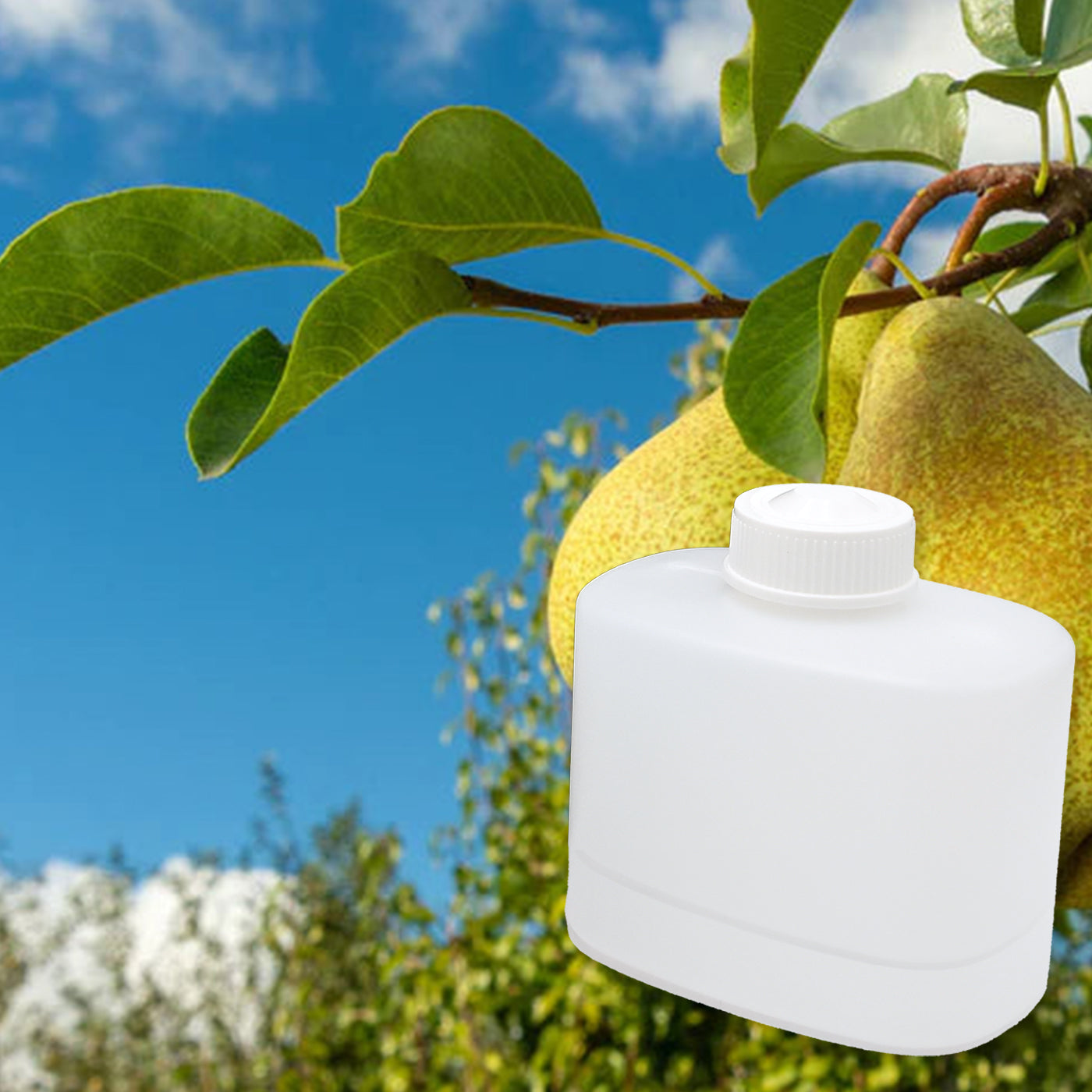 air crisp plant Crisp Morning Air ScentBeat Refill