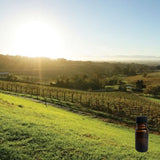 Early Sunrise 10 ml for ScentSolo