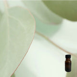 Eucalyptus 10 ml for ScentSolo