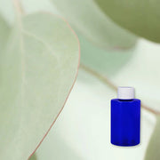 Eucalyptus