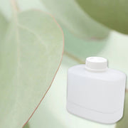 Eucalyptus