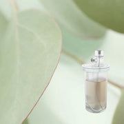 Eucalyptus