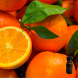 Florida Orange Grove 10 ml for ScentSolo
