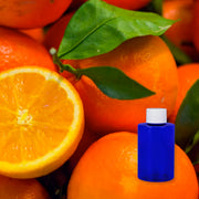 Florida Orange Grove