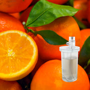 Florida Orange Grove