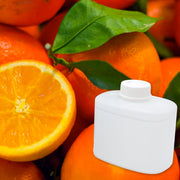 Florida Orange Grove