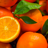 Florida Orange Grove 150 ml for ScentStyler 150
