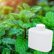 Garden Mint