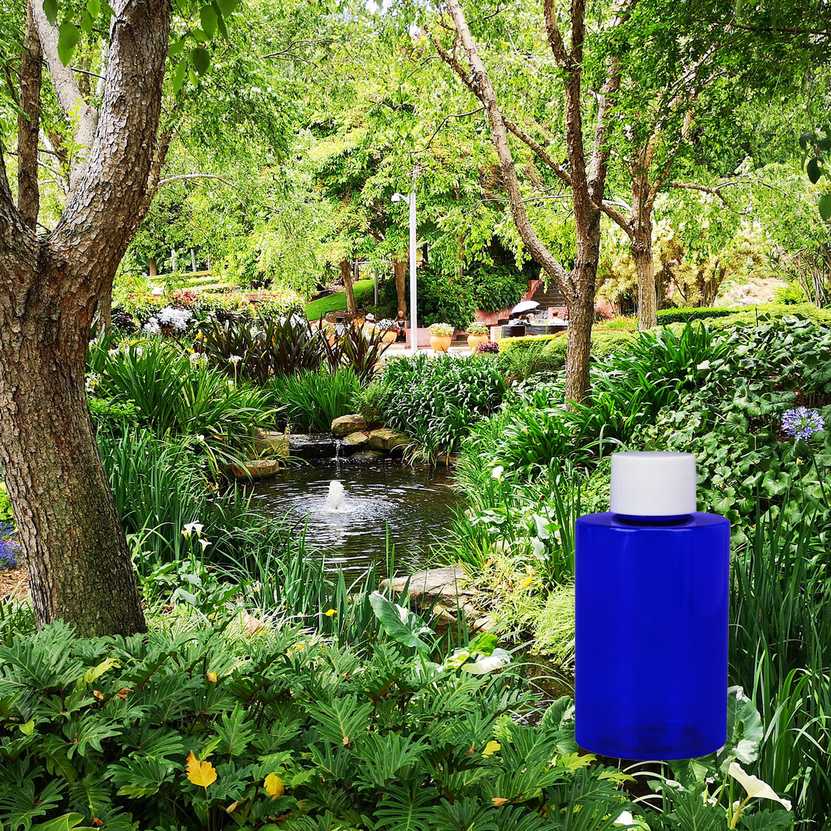 Garden Oasis