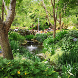 Garden Oasis 270 ml for ScentVox